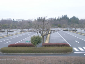 国営昭和記念公園立川口駐車場舗装修繕工事その２